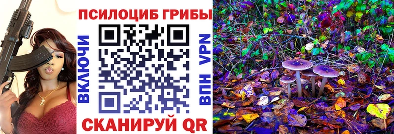 Галлюциногенные грибы прущие грибы купить закладку Тотьма